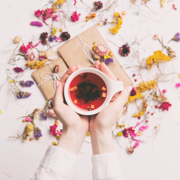 GASTROBACK® Automatic Tea Maker - 62440 - Design Automatic Tea-Maker Advanced Plus