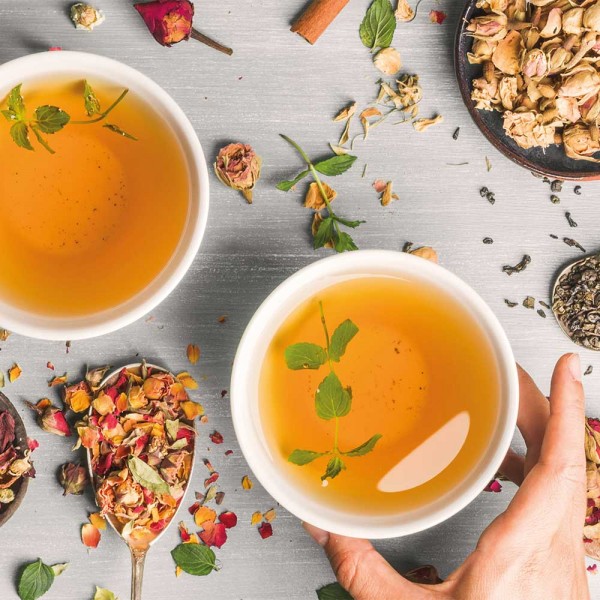 GASTROBACK® Water Kettle - 62427 Water Kettle Colour Vision Pro