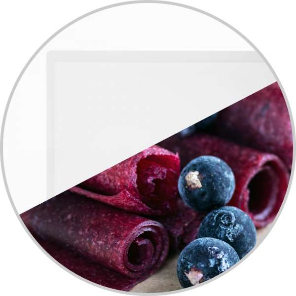 GASTROBACK® Dehydrator - 66602 Design Dehydrator Pro