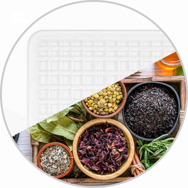 GASTROBACK® Dörrautomat - 46603 Design Doerrautomat Max