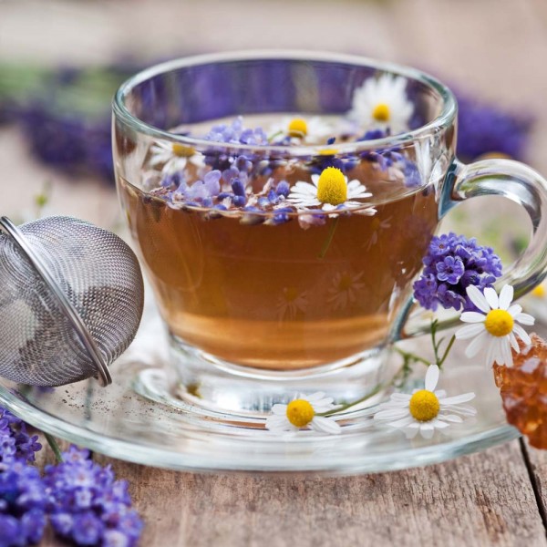 GASTROBACK® Water Kettle - 62427 Water Kettle Colour Vision Pro