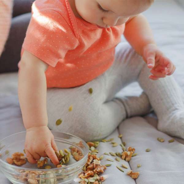 GASTROBACK® Dörrautomat - 46603 Design Doerrautomat Max