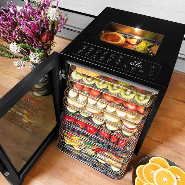 GASTROBACK Dehydrator -646605 - Design Dehydrator Vision Pro