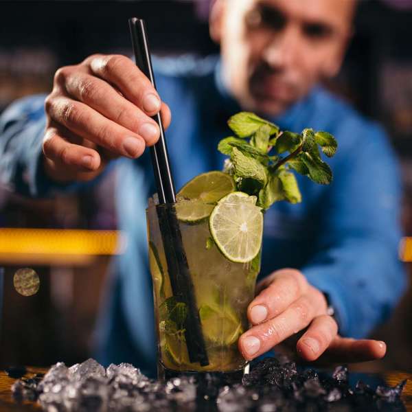 GASTROBACK® Ice Maker - 61143 Ice Maker Bartender Pro