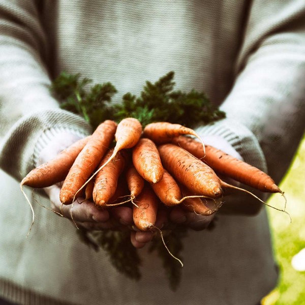 GASTROBACK® Juicer - 60145 - Slow Juicer Advanced Vital