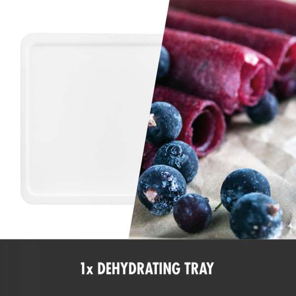 GASTROBACK Dehydrator -646605 - Design Dehydrator Vision Pro