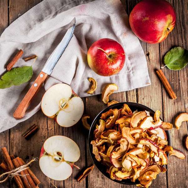 GASTROBACK® Dörrautomat - 46603 Design Doerrautomat Max