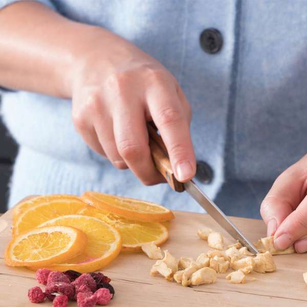 GASTROBACK® Dehydrator - 66602 Design Dehydrator Pro