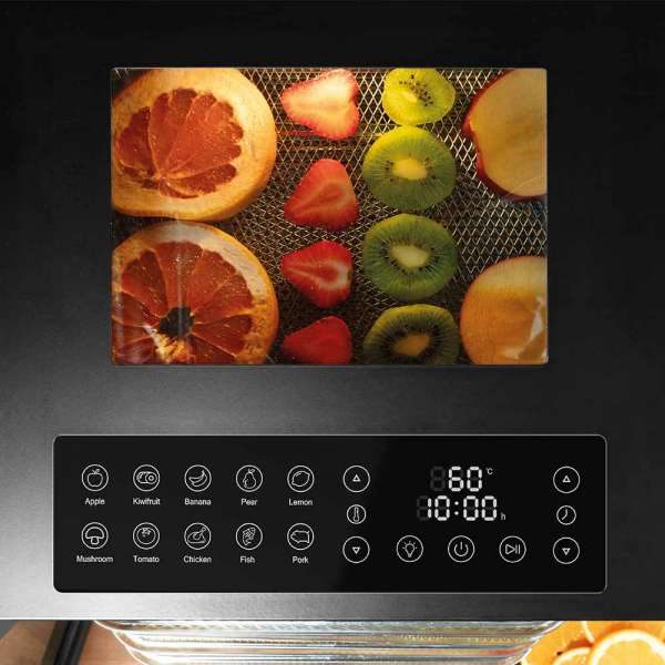 GASTROBACK Dehydrator -646605 - Design Dehydrator Vision Pro